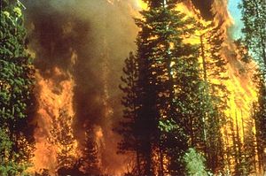 California wildfire
