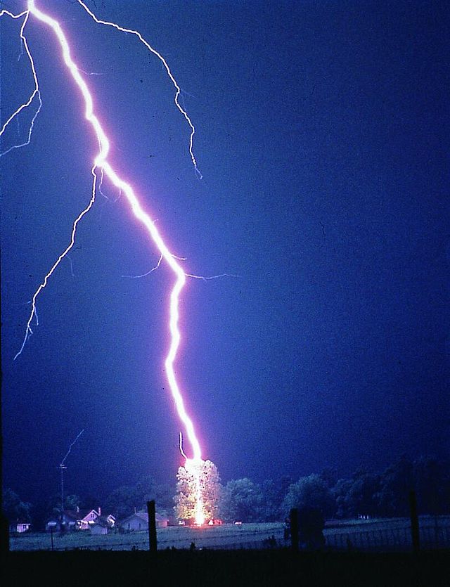 Remove Your Hoops: Lightning Freaks  Lightning strike Source: Wikipedia