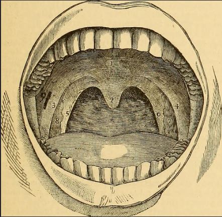 The French Tongue: A Method for Raising the Dead