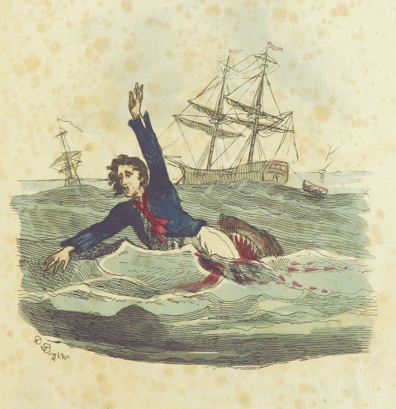 Down To the Sea in Sharks Sailor eaten by shark, 1810, British Library
